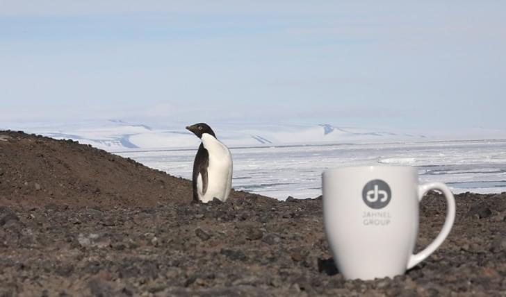 2020 winner — the JG mug with a penguin in Antarctica